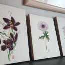 수빈목장 이미지