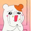 경기도 수원시 팔달구 권광로134번길 이미지