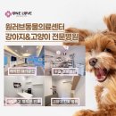 원러브동물의료센터 이미지