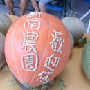 신남농장 이미지