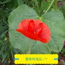 구월1동-17 이미지