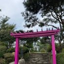 525펜션 이미지