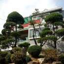 비봉목장 이미지