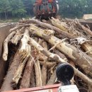 수원-0076 이미지