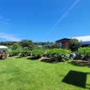 멍멍사우나 이미지