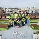 해뜰농장 이미지