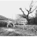 외리_마을진입로_001 | 풍수형국 천마등공형에 위치한 삼청동 각자刻字