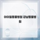 사랑애완동물병원 | 아이힐동물병원 강남동물병원