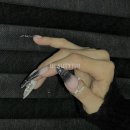 여신손톱