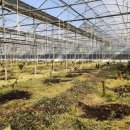 남진농장 이미지