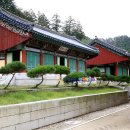 오대산산촌식당 이미지