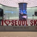 (서울가볼만곳)~롯데월드전망대~서울스카이~구경하기~!!