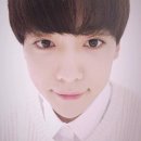 우가 Daum카페