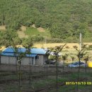 느티나무농장 이미지