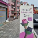 꽃봉자 이미지