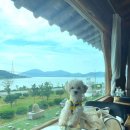 자연 애개 이미지