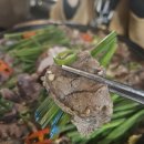 다붓 | [고잔동 술집] 다붓 고잔점 방문후기~