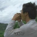 제주 살레 이미지
