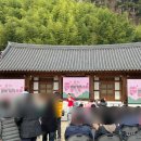 딸기노래짱 이미지
