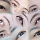 엘르몬트