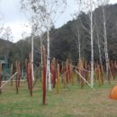 하늘목장 이미지