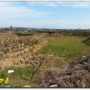 신도연못 옆 이미지