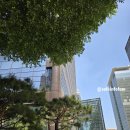 서울종로해장국