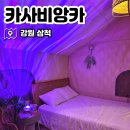 삼척 펜션 글램핑 애견동반 가능, 카사비앙카