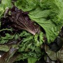 늘품정육점 이미지