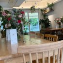 식물원로 이미지