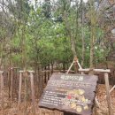 논현중앙근린공원 이미지