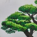 올리브나무학원 이미지