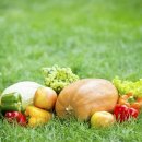 주식회사해피푸드 이미지