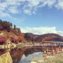 강촌체험장낚시터 이미지