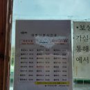 보성 가볼 만한 곳 - 버스 시간표, 보성역에서 대한다원 가는 방법, 녹차밭, 관광지, 카페, 맛집