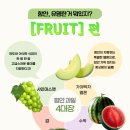 함안-4 네이버블로그