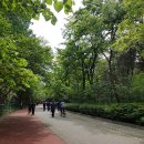 두류공원 스케이트장 이미지