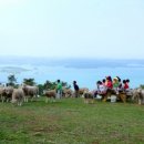 성한목장 이미지