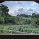 담바우길 황토집 이미지