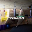 타이거볼더클라이밍짐 이미지