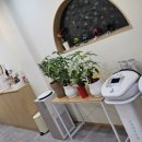 타이디앤 이미지