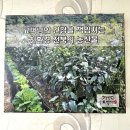 예대어린이집 | 전주 출장뷔페 연예인도 인정한 맛집 업체 추천!