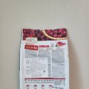 카니코리아 이미지