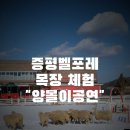 인철목장 네이버블로그