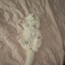 와우종합동물병원 이미지