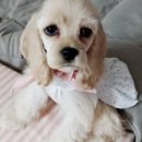 화랑유치원 이미지