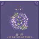 포레스트(forest) 이미지