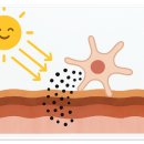 365메트로의원 | 다산피부과 피코토닝 잘하는 곳 찾으신다면
