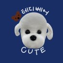 댕댕미용 이미지