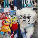 도그마캣작전